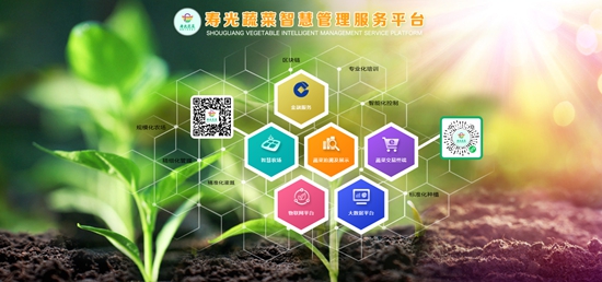 潍坊科技学院校办企业环球软件助力蔬菜交易走上“云端”，展现科技推广与应用服务新高度